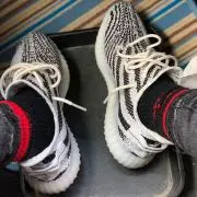 yy1000