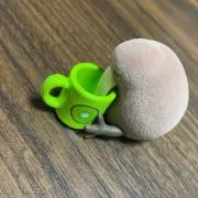 maasan