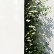 maru 即購入お値下げ◎の画像