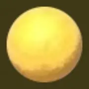せいじの画像