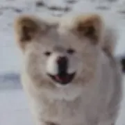 ハッピーo(^-^o)(o^-^)oくん