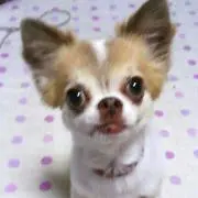 ☆　まーみん　☆