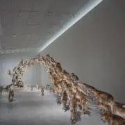 KENTAの画像