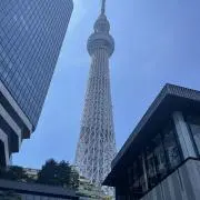 EKOの画像