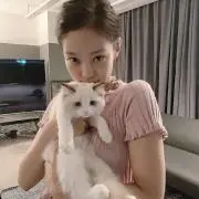 Bの画像
