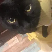ハナ