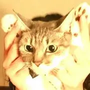 くゆこ