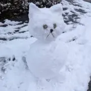 あんこはこしあんの画像