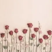 nico ◡̈の画像