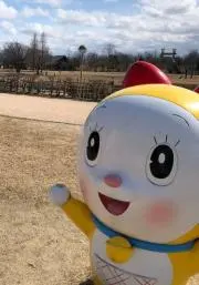 すみっこきゃんぷの画像