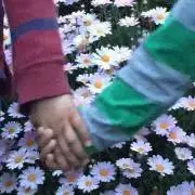 cocoの画像