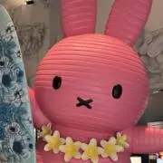 모모(もも)★プロ必読の画像