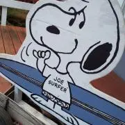 もっちの画像