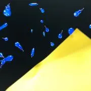 たーなー