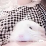 ❤︎の画像