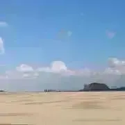 necoの画像