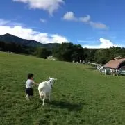 のんちゃん