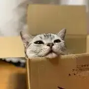 むんく