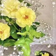 hana 秋のお勧め有ります♪の画像