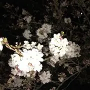 mの画像