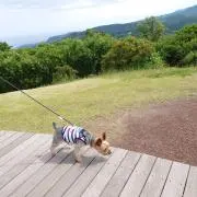 marineの画像