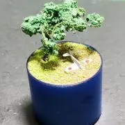 Image of Wasabi