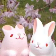 さくら☆の画像