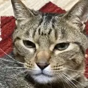 どかん！