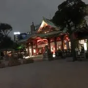 こぽた