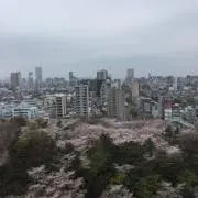 atsukkの画像