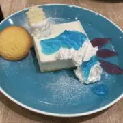 ミズキの画像
