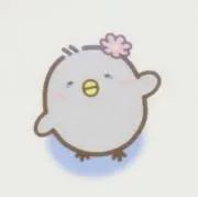 きのこの画像