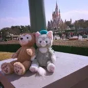 まりまりの画像