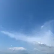kjnの画像