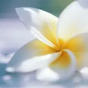 mmbtの画像