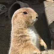 パープルの画像