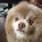 Hamaosa101の画像