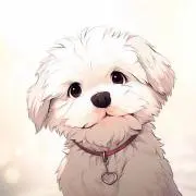 ミニマム☆彡の画像