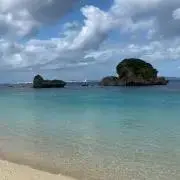 アルパパさんの画像