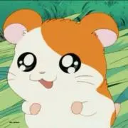 ちゃーはんの画像
