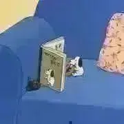 Rの画像