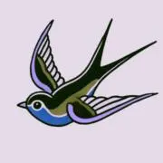 Chapmanの画像