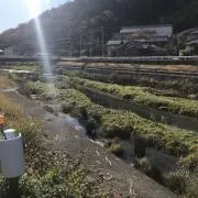 ドロイドの画像