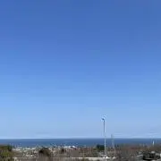 もっちーの画像
