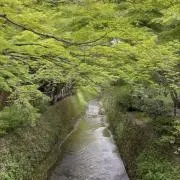 meririma 断捨離中の画像