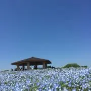 ryou ☆プロフ必読☆
