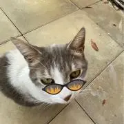 バスちゃん