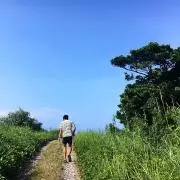 Beach Houseの画像