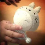 totoron★の画像