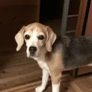 kenの画像